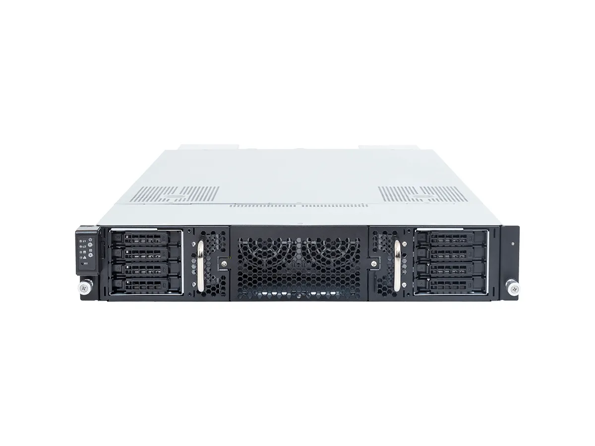 GIGABYTE G295-D21-AP1 Manufacturer Appearance reference diagram 1